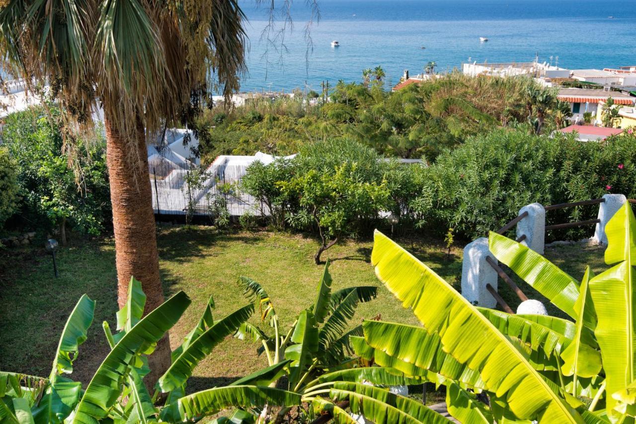 Hotel Citara Forio di Ischia Dış mekan fotoğraf